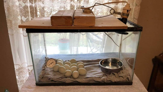 How do you make an egg incubator?