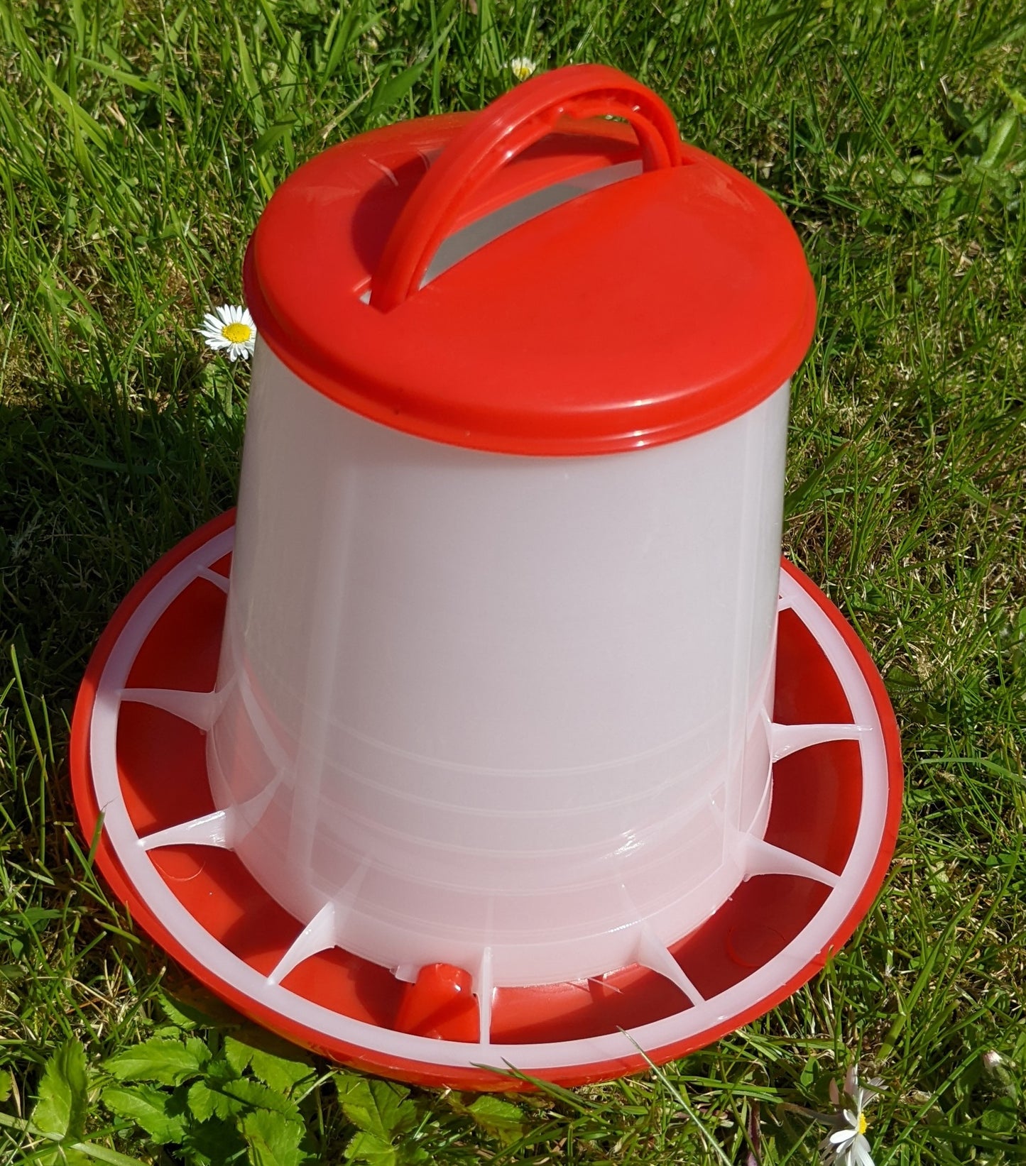 1.5kg Poultry / Chicken Feeder