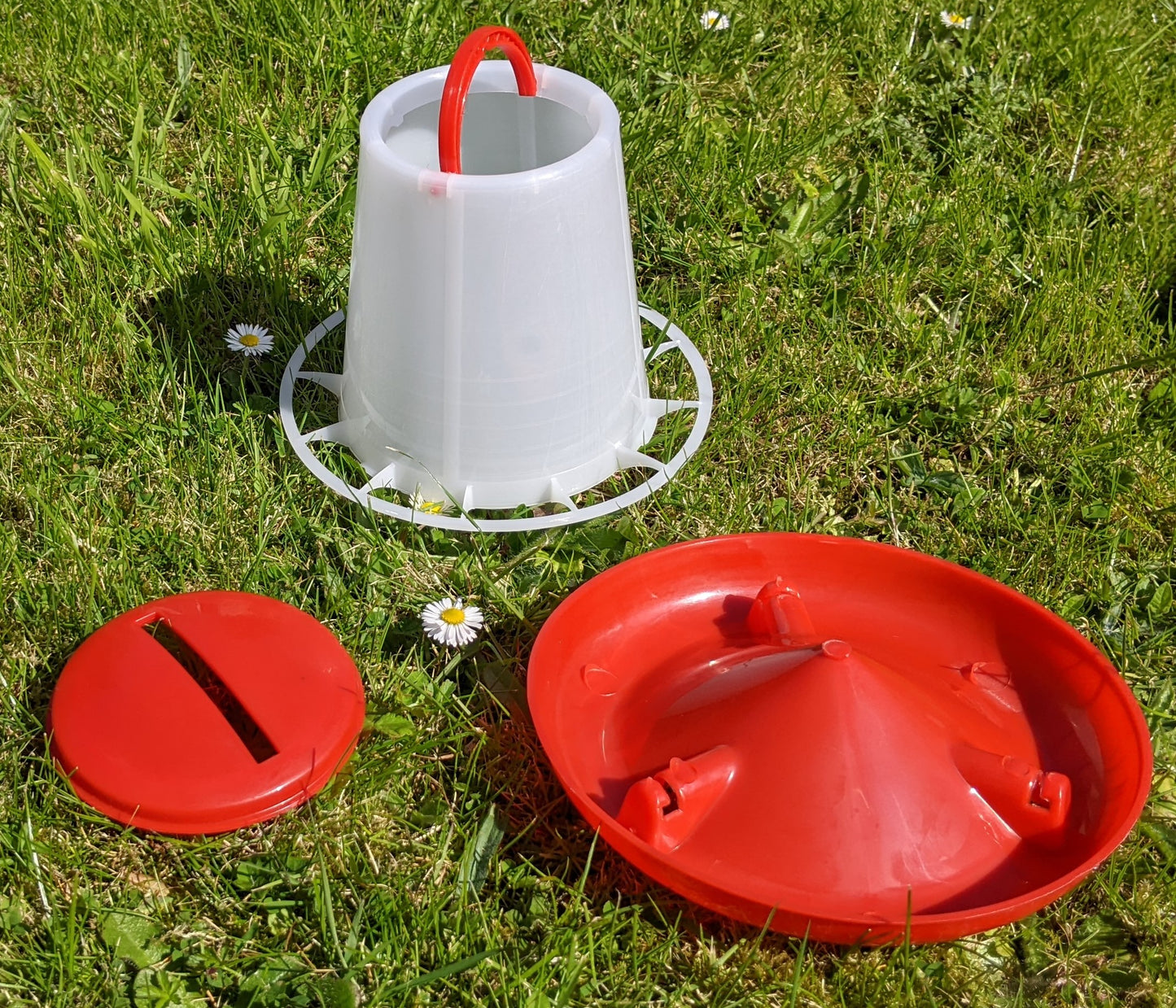 1.5kg Poultry / Chicken Feeder