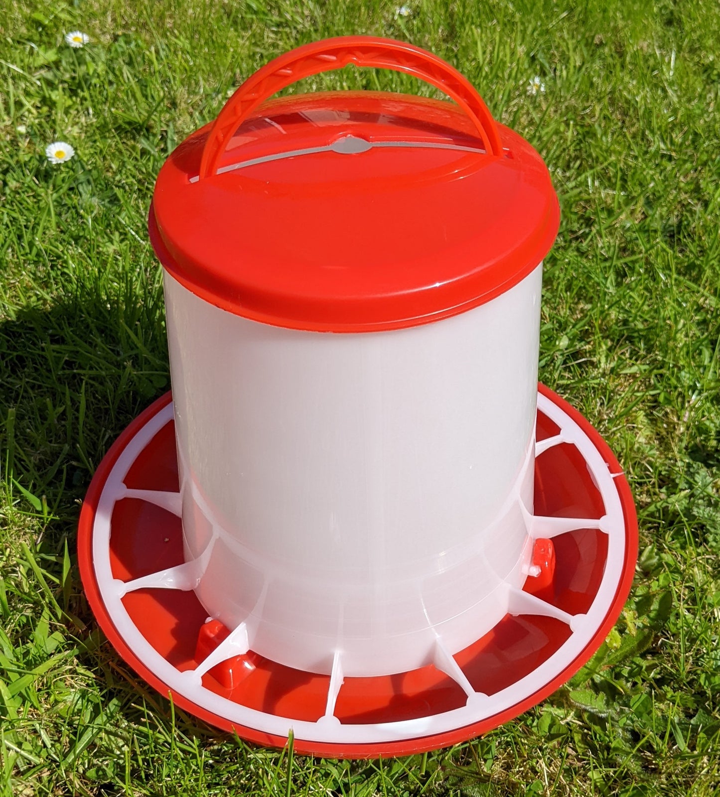 3kg Poultry / Chicken Feeder