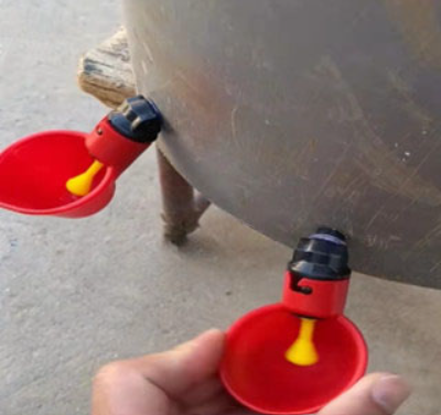 DIY Poultry Water Cup