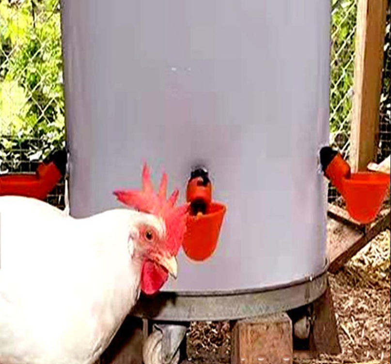 DIY Poultry Water Cup