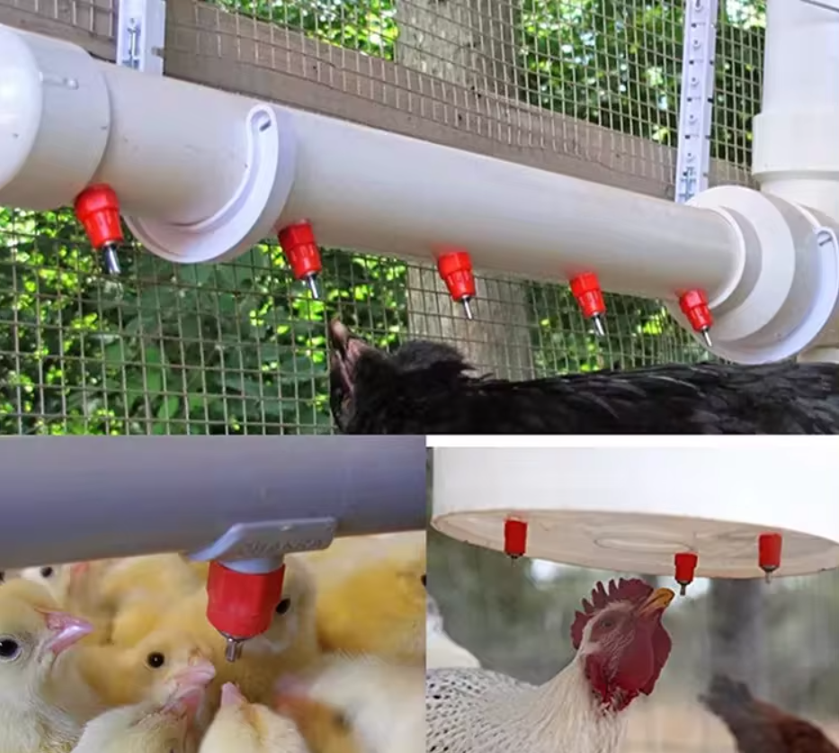 Poultry/Chicken Red Automatic Nipple Drinkers