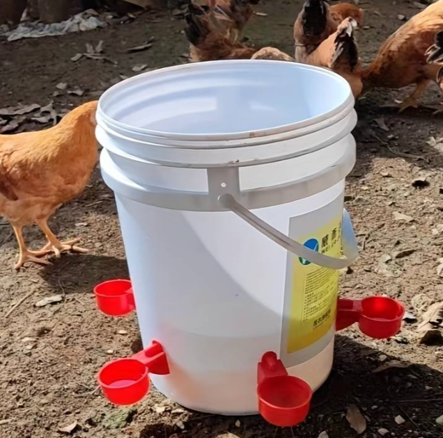 Poultry / Chicken Dipping Drinker Cups