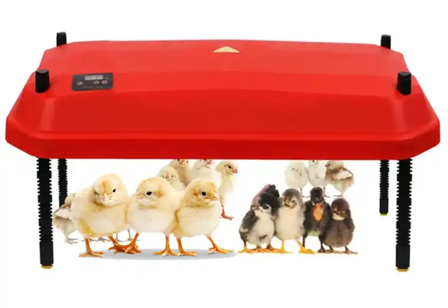 Large Brooder Heating Plate (50W 40cmx55cm)