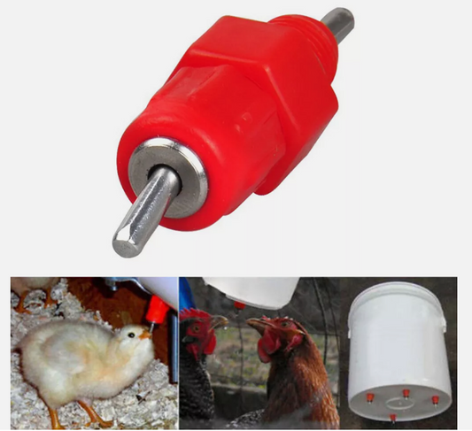 Poultry/Chicken Red Automatic Nipple Drinkers